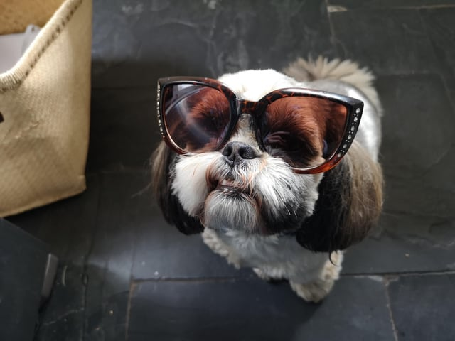 Cheezburger Image 10608128000