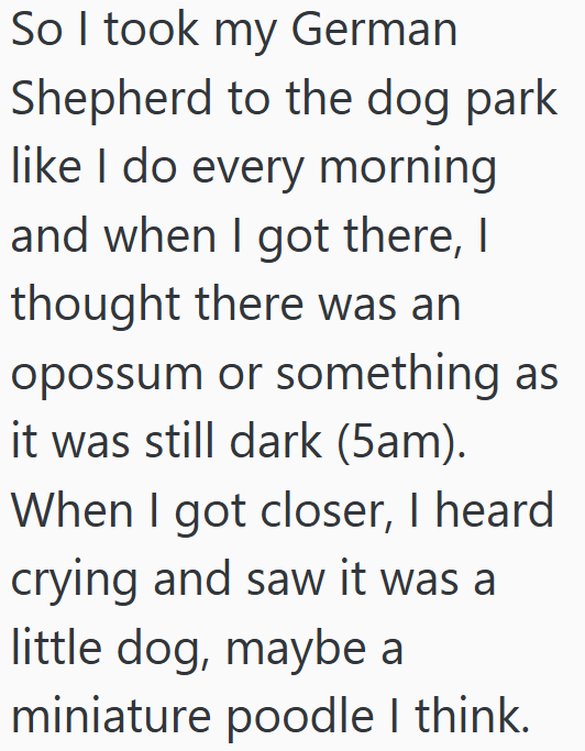 So I took my German Shepherd to the dog park like I do every morning and when I got there, I thought there was an opossum or something as it was still dark (5am). When I got closer, I heard crying and saw it was a little dog, maybe a miniature poodle I think.