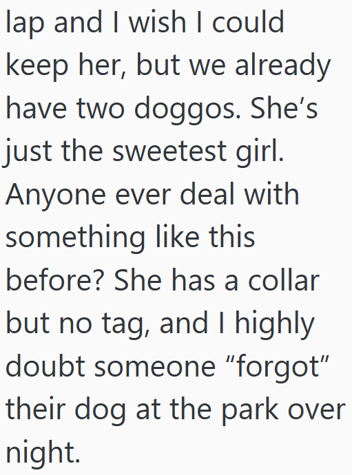 lap and I wish I could keep her, but we already have two doggos. She's just the sweetest girl. Anyone ever deal with something like this before? She has a collar but no tag, and I highly doubt someone "forgot" their dog at the park over night.