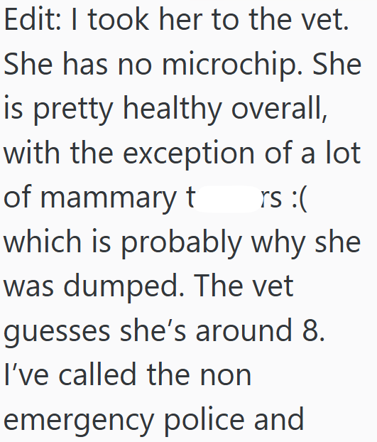 Edit: I took her to the vet. She has no microchip. She is pretty healthy overall, with the exception of a lot of mammary t rs :( which is probably why she was dumped. The vet guesses she's around 8. I've called the non emergency police and