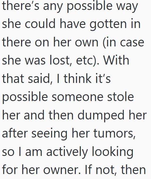 there's any possible way she could have gotten in there on her own (in case she was lost, etc). With that said, I think it's possible someone stole her and then dumped her after seeing her tumors, so I am actively looking for her owner. If not, then
