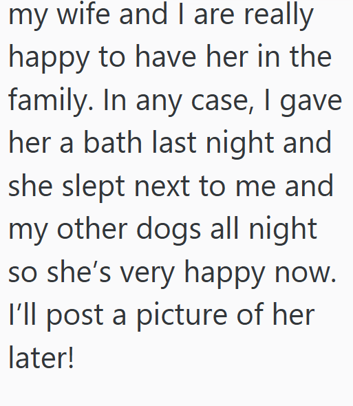 my wife and I are really happy to have her in the family. In any case, I gave her a bath last night and she slept next to me and my other dogs all night so she's very happy now. I'll post a picture of her later!