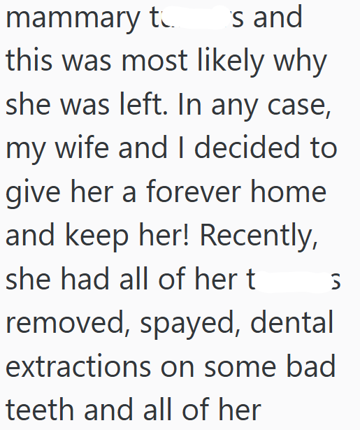 mammary to 's and this was most likely why she was left. In any case, my wife and I decided to give her a forever home and keep her! Recently, she had all of her t removed, spayed, dental extractions on some bad teeth and all of her S