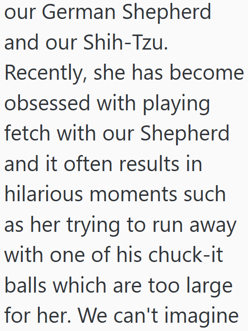 our German Shepherd and our Shih-Tzu. Recently, she has become obsessed with playing fetch with our Shepherd and it often results in hilarious moments such as her trying to run away with one of his chuck-it balls which are too large for her. We can't imagine