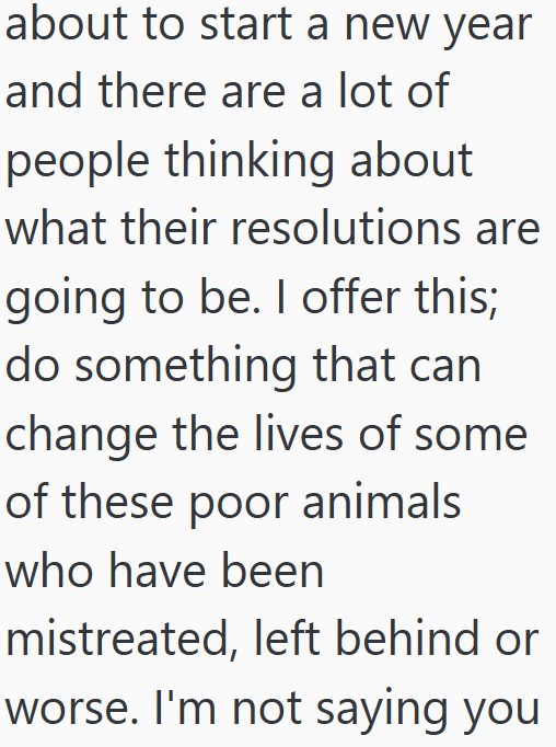 about to start a new year and there are a lot of people thinking about what their resolutions are going to be. I offer this; do something that can change the lives of some of these poor animals who have been mistreated, left behind or worse. I'm not saying you