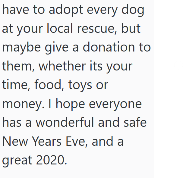have to adopt every dog at your local rescue, but maybe give a donation to them, whether its your time, food, toys or money. I hope everyone has a wonderful and safe New Years Eve, and a great 2020.