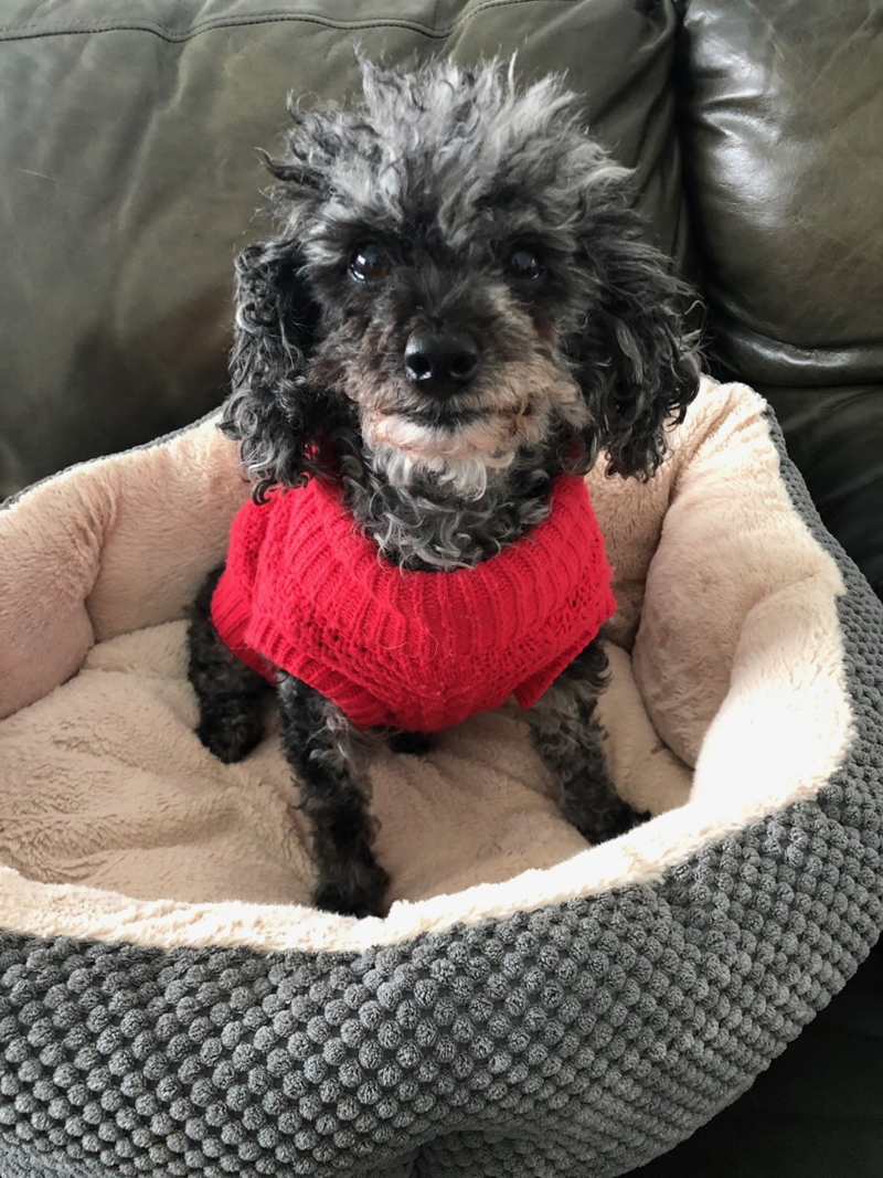 Cheezburger Image 10608135936