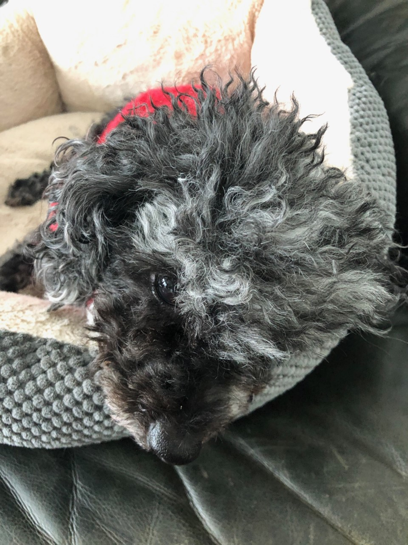 Cheezburger Image 10608136704