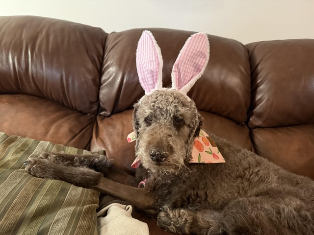 Cheezburger Image 10608140032