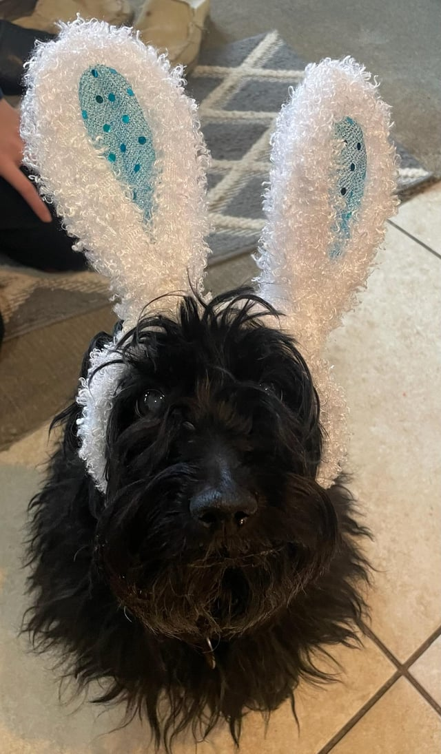 Cheezburger Image 10608140800