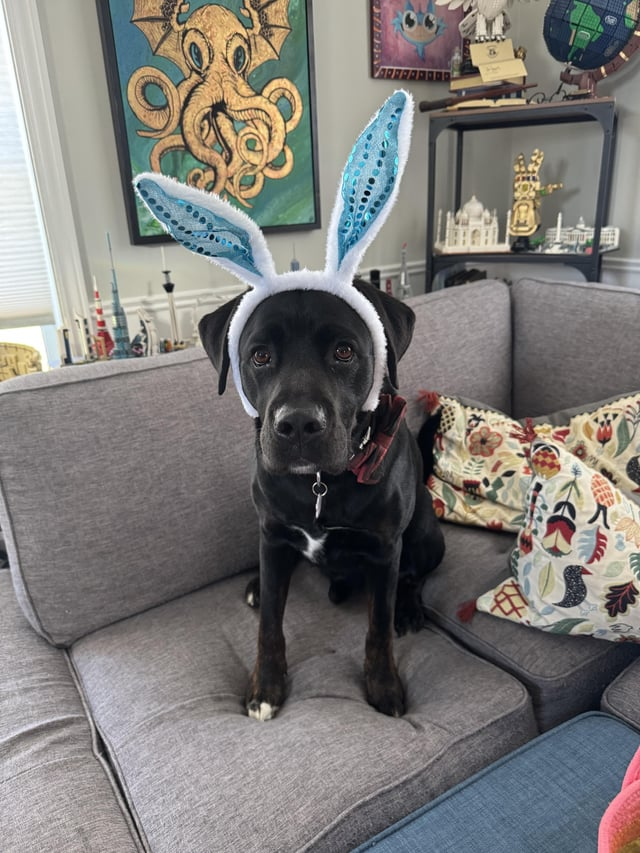 Cheezburger Image 10608142080