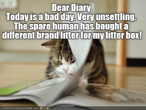 Cheezburger Image 10608154880