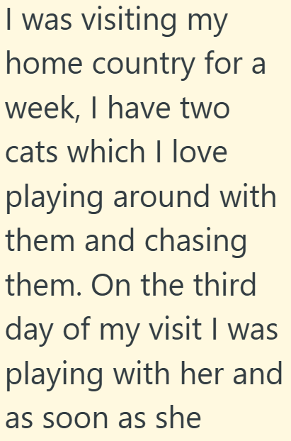 I was visiting my home country for a week, I have two cats which I love playing around with them and chasing them. On the third day of my visit I was playing with her and as soon as she