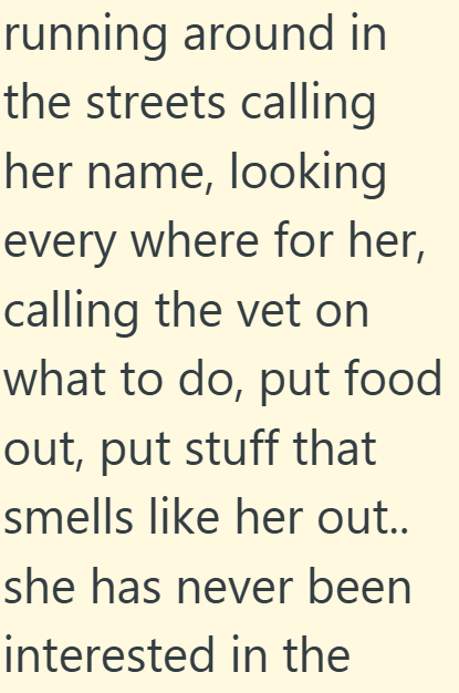 running around in the streets calling her name, looking every where for her, calling the vet on what to do, put food out, put stuff that smells like her out.. she has never been interested in the