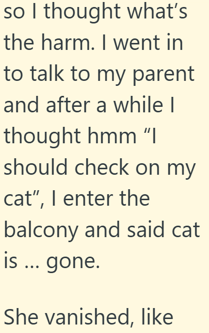 so I thought what's the harm. I went in to talk to my parent and after a while I thought hmm “I should check on my cat", I enter the balcony and said cat is ... gone. She vanished, like
