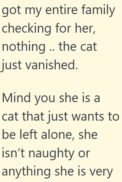 got my entire family checking for her, nothing .. the cat just vanished. Mind you she is a cat that just wants to be left alone, she isn't naughty or anything she is very