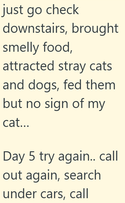 just go check downstairs, brought smelly food, attracted stray cats and dogs, fed them but no sign of my cat... Day 5 try again.. call out again, search under cars, call