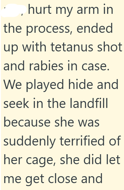hurt my arm in the process, ended up with tetanus shot and rabies in case. We played hide and seek in the landfill because she was suddenly terrified of her cage, she did let me get close and