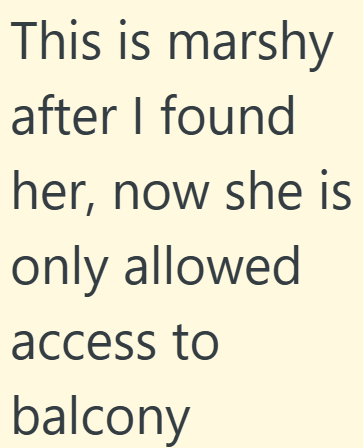 This is marshy after I found her, now she is only allowed access to balcony