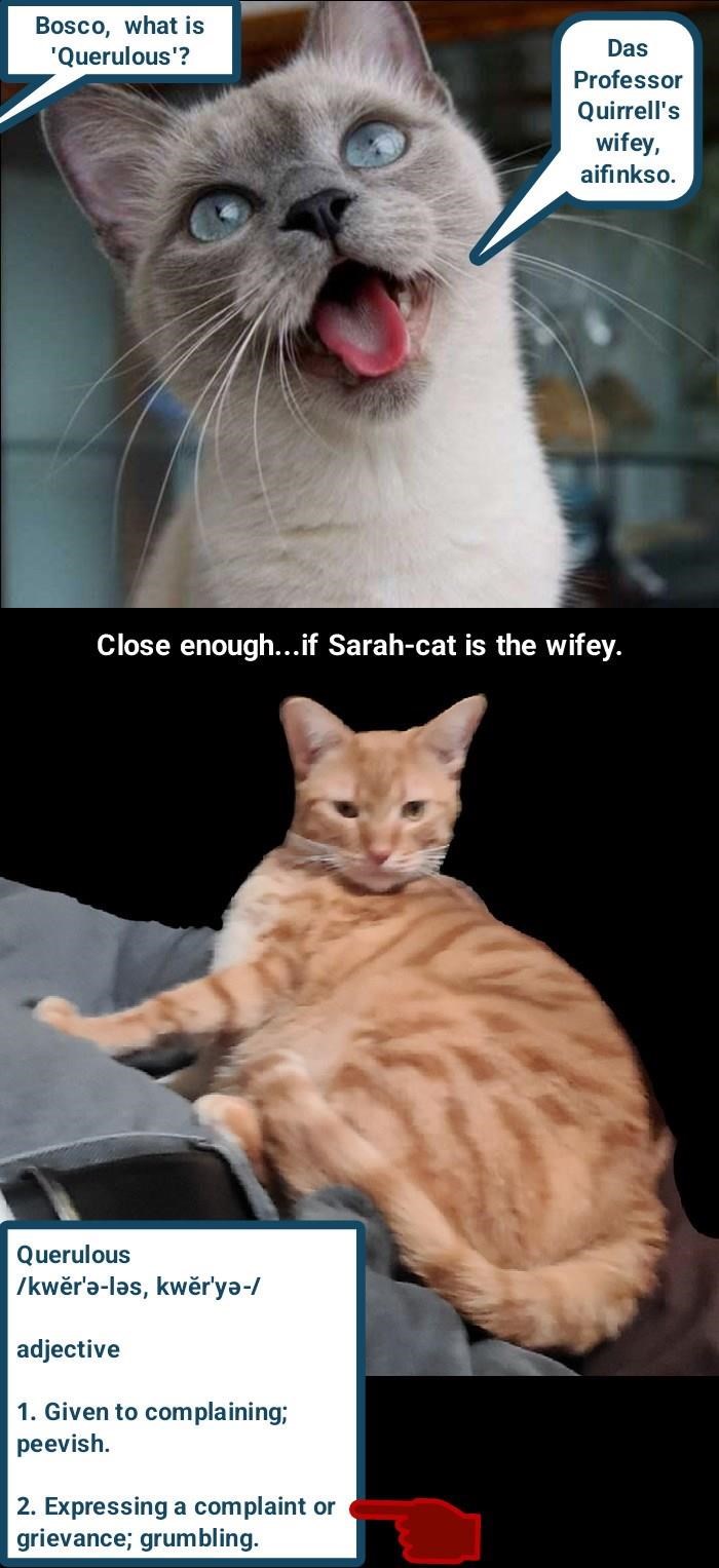 Cheezburger Image 10608161536