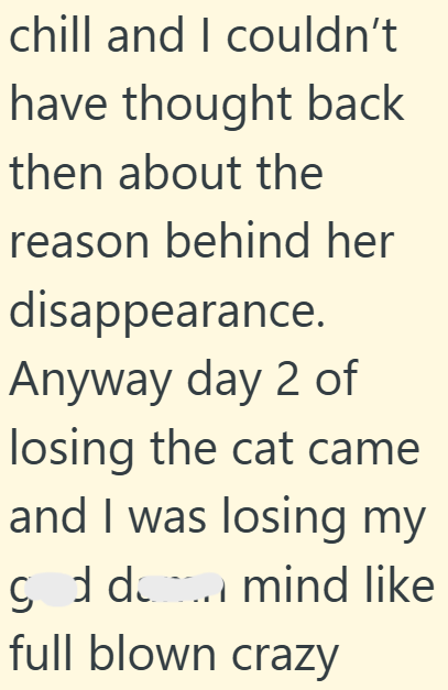 chill and I couldn't have thought back then about the reason behind her disappearance. Anyway day 2 of losing the cat came and I was losing my gd dan mind like full blown crazy