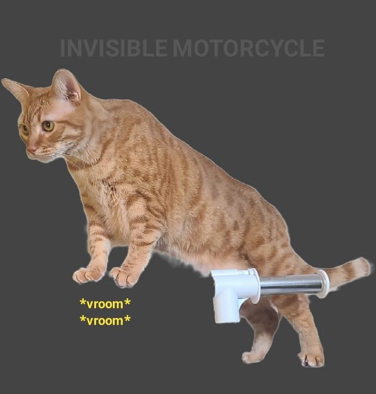 Cheezburger Image 10608174592