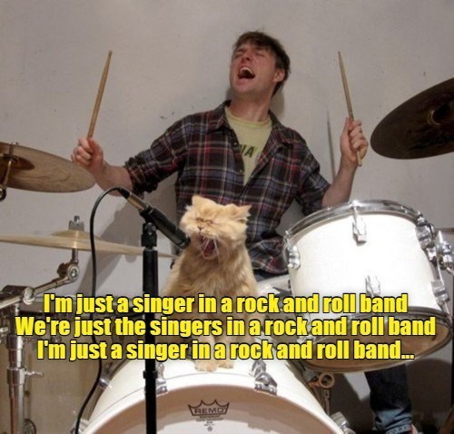 Cheezburger Image 10608177152