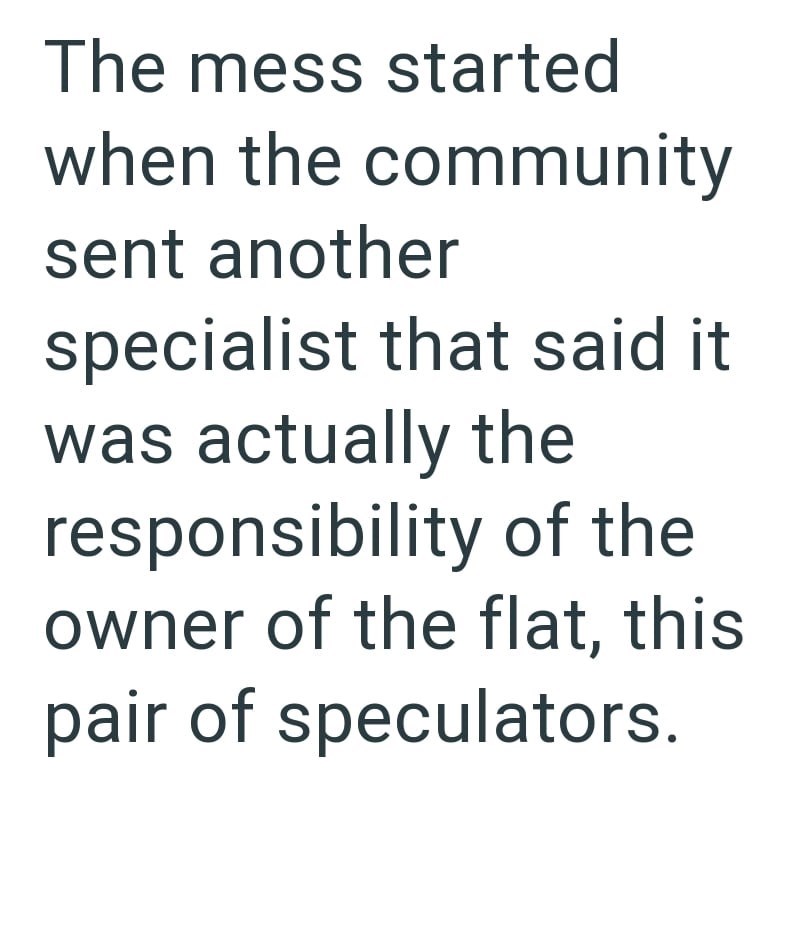 The mess started when the community sent another specialist that said it. was actually the responsibility of the owner of the flat, this pair of speculators.