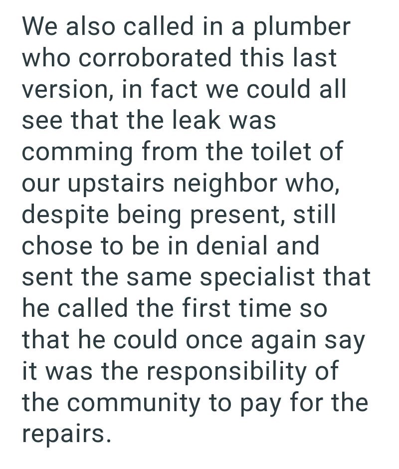 We also called in a plumber who corroborated this last version, in fact we could all see that the leak was comming from the toilet of our upstairs neighbor who, despite being present, still chose to be in denial and sent the same specialist that he called the first time so that he could once again say it was the responsibility of the community to pay for the repairs.