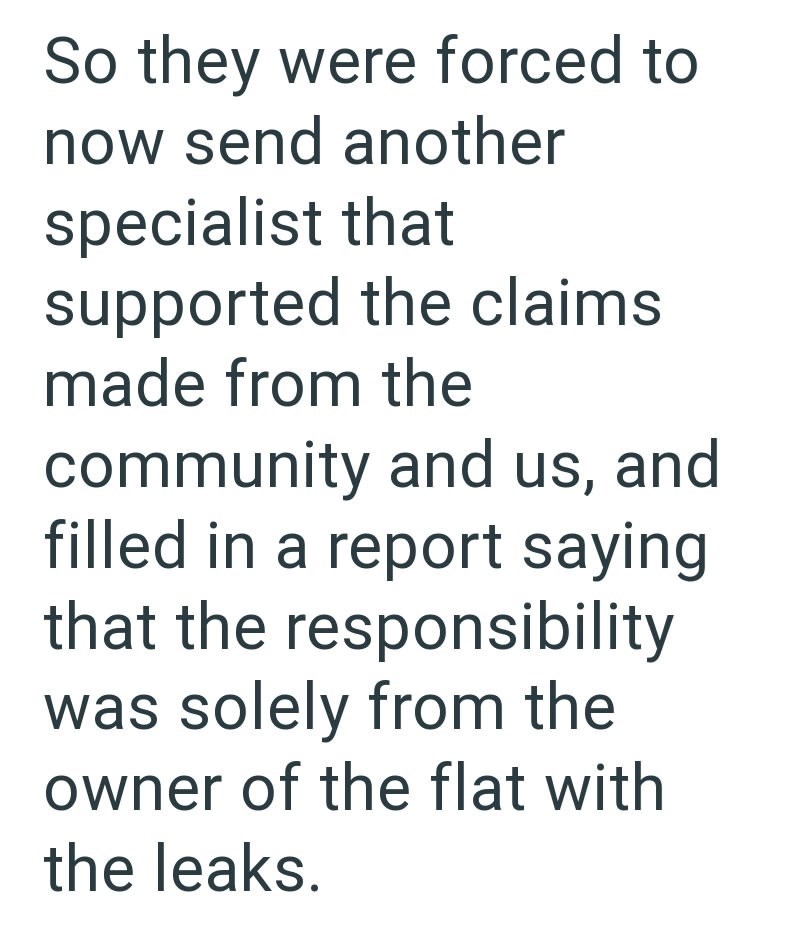 So they were forced to now send another specialist that supported the claims made from the community and us, and filled in a report saying that the responsibility was solely from the owner of the flat with the leaks.