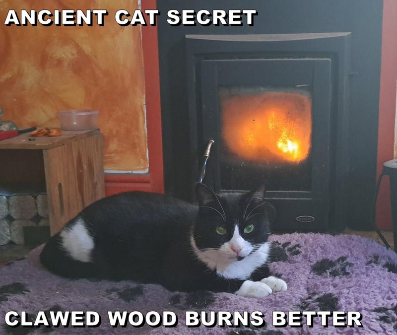 Cheezburger Image 10608364800