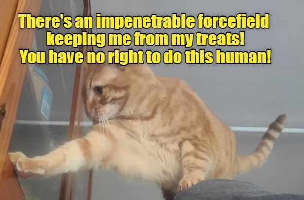 Cheezburger Image 10608481536