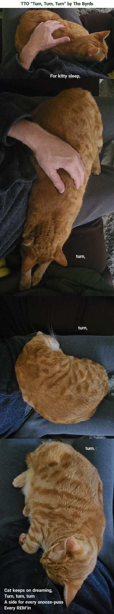 Cheezburger Image 10608517632