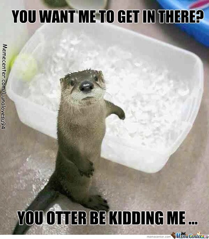 YOU WANT ME TO GET IN THERE? Memecenter.com/Lunalovesu94 YOU OTTER BE KIDDING ME ... memecenter.com Meme Center