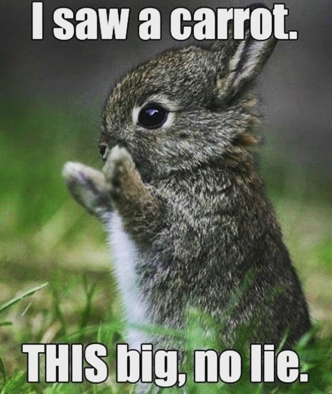 I saw a carrot. THIS big, no lie.
