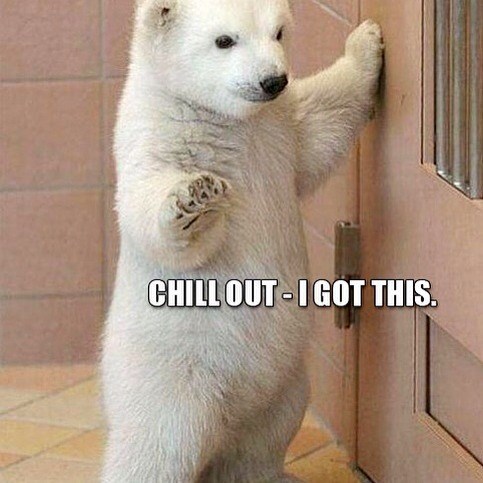 CHILL OUT-I GOT THIS.