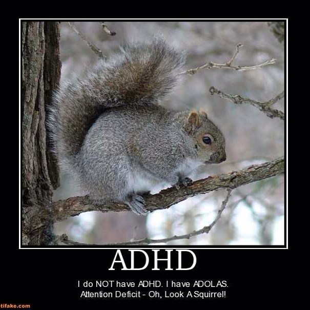 tifake.com ADHD I do NOT have ADHD. I have ADOLAS. Attention Deficit - Oh, Look A Squirrel!