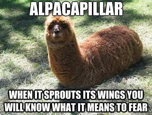 ALPACAPILLAR WHEN IT SPROUTS ITS WINGS YOU WILL KNOW WHAT IT MEANS TO FEAR Quickmeme.com