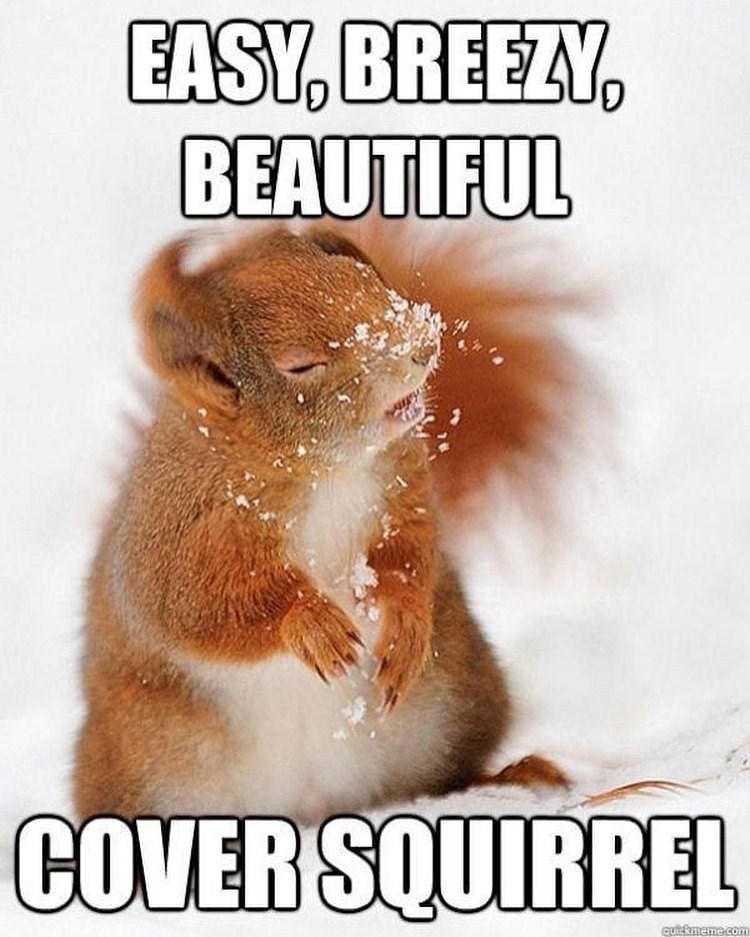EASY, BREEZY, BEAUTIFUL COVER SQUIRREL quickmeme.com