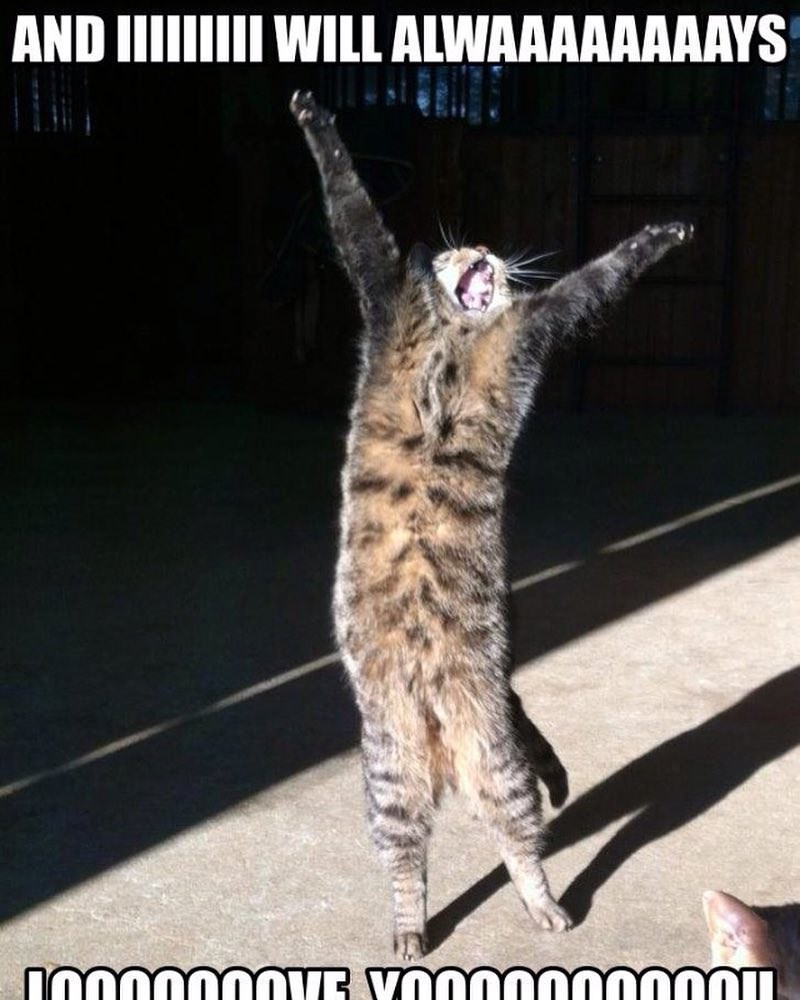 AND IIIIIIIII WILL ALWAAAAAAAAYS