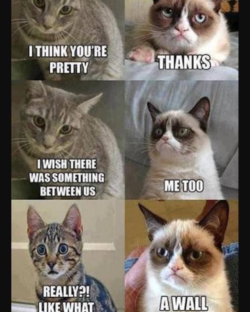 I THINK YOU'RE PRETTY I WISH THERE WAS SOMETHING BETWEEN US THANKS METOO REALLY?! LIKE WHAT A WALL