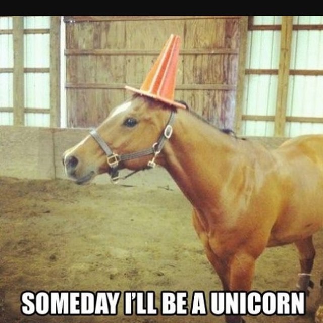 SOMEDAY I'LL BE A UNICORN