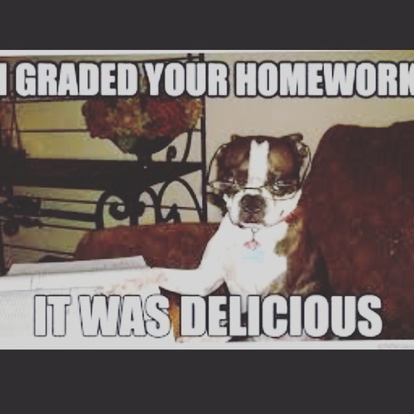 GRADED YOUR HOMEWORK IT WAS DELICIOUS
