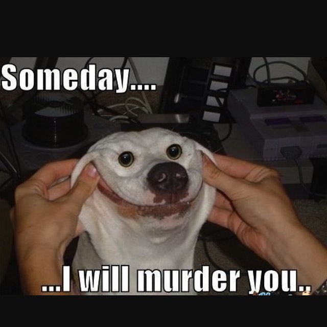 Someday.... ...I will murder you.,