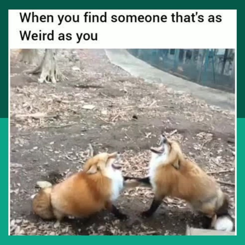 When you find someone that's as Weird as you