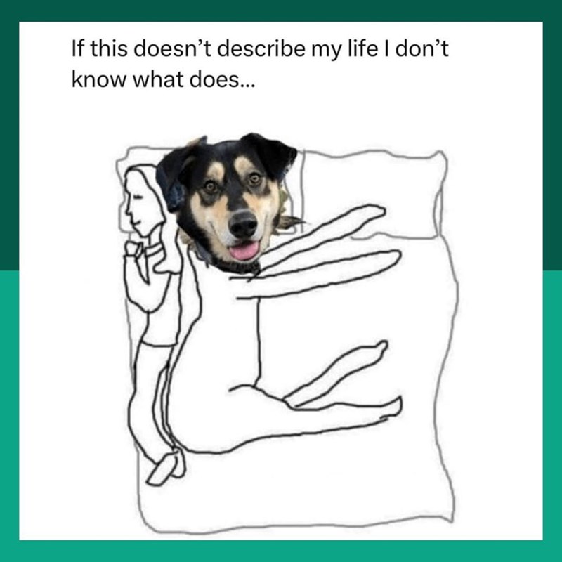 If this doesn't describe my life I don't know what does...