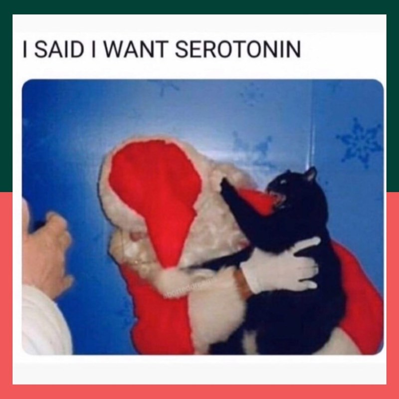 I SAID I WANT SEROTONIN borted drea