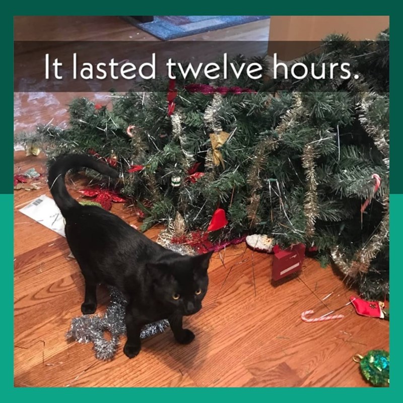 It lasted twelve hours.