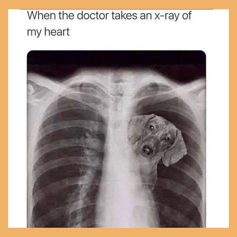 When the doctor takes an x-ray of my heart