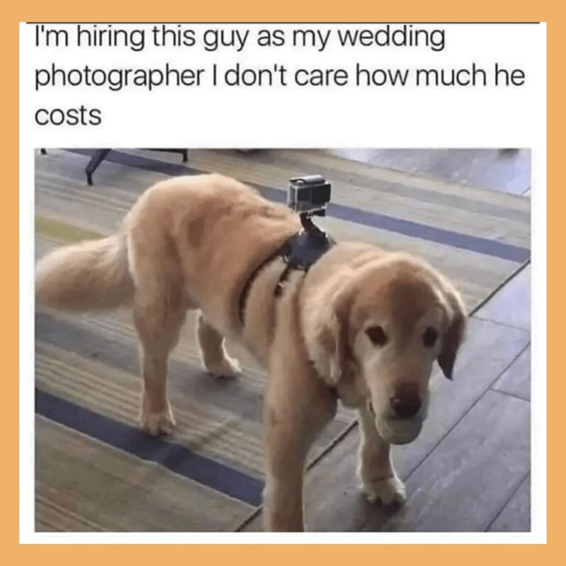 I'm hiring this guy as my wedding photographer I don't care how much he costs